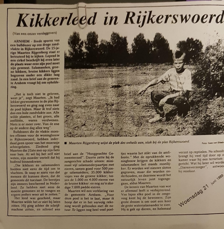 Kikkerleed in Rijkerswoerd- Kranten artikel Maarten Rijgersberg
